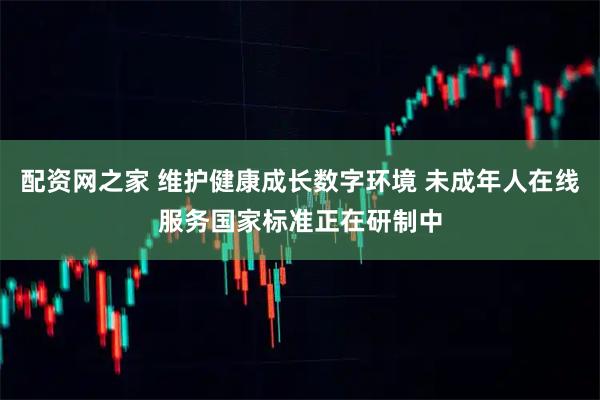 配资网之家 维护健康成长数字环境 未成年人在线服务国家标准正在研制中