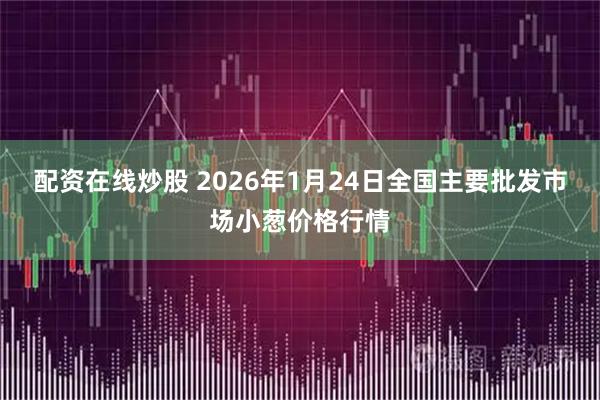 配资在线炒股 2026年1月24日全国主要批发市场小葱价格行情