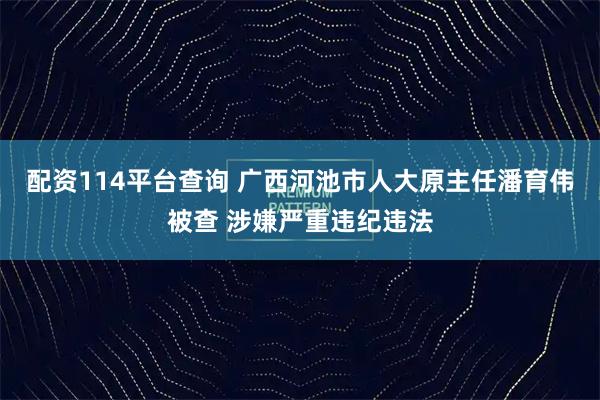 配资114平台查询 广西河池市人大原主任潘育伟被查 涉嫌严重违纪违法